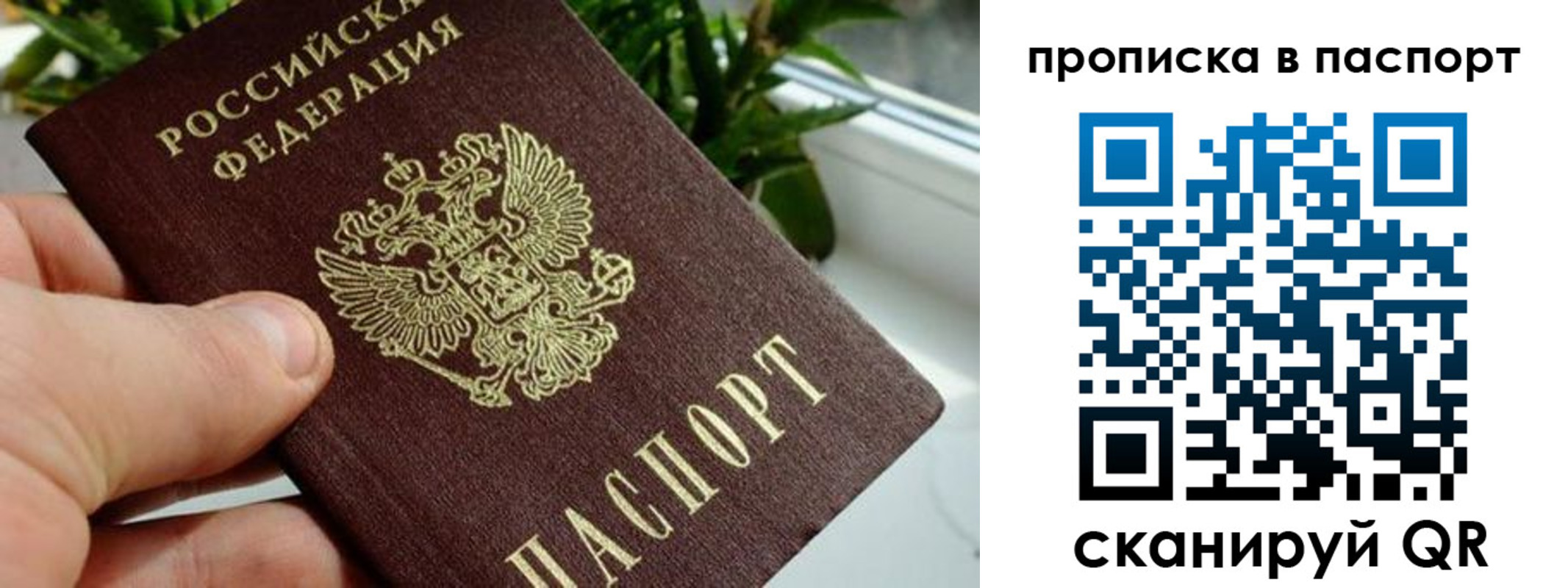 пропишу в квартире в Железногорск-Илимском